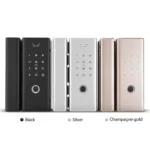 G5-Tuya-BN iLockey Wi-Fi Remote Control Tuya app biometric fingerprint digital Smart glass door lock